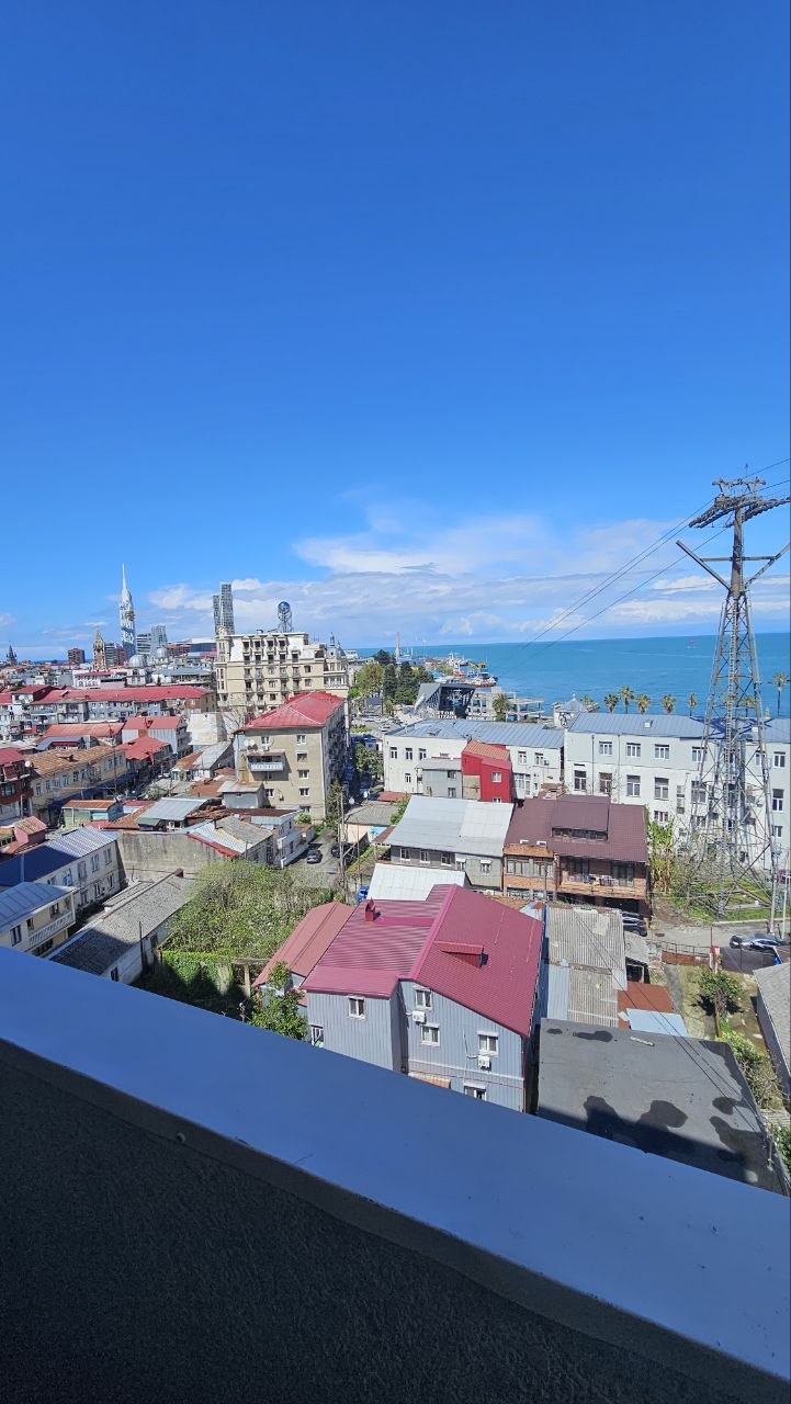 1+1 Apartment for Rent in Batumi - $400